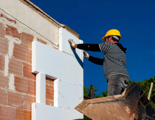 Best Insulation Maintenance and Repair in Clarence, IA