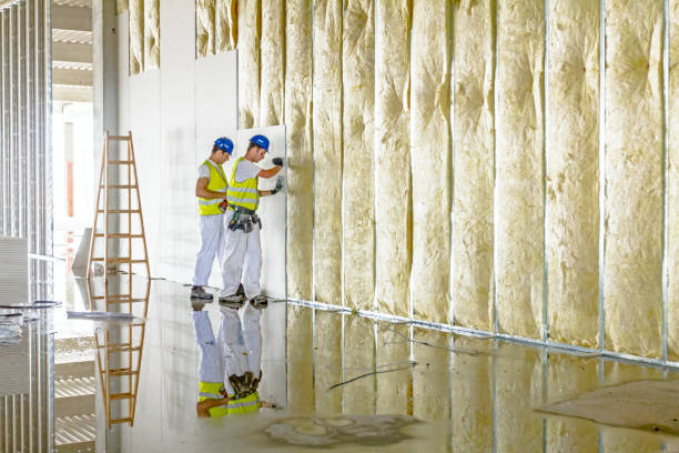 Best Commercial Insulation in Clarence, IA